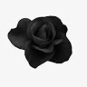 Meet your Posher, Julius